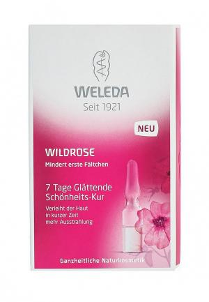 Сыворотка для лица Weleda разглаживающий концентрат с маслом розы москета, 7x0,8 мл. Цвет: прозрачный