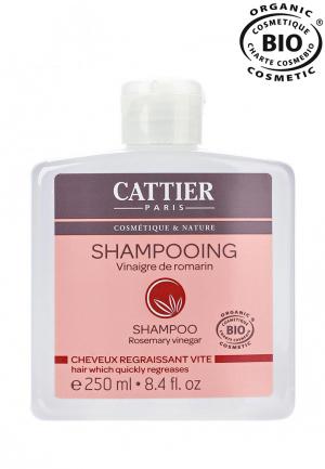 Шампунь Cattier для жирных волос с экстрактом Розмарина