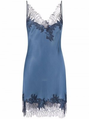 Платье-комбинация с кружевной вышивкой Carine Gilson. Цвет: синий