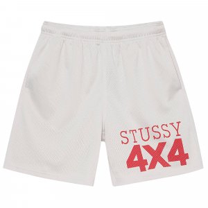 Сетчатые шорты 4X4 Bone Stussy