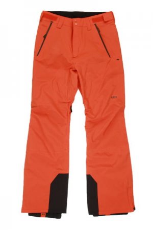 Сноубордические штаны BILLABONG Compass. Цвет: оранжевый