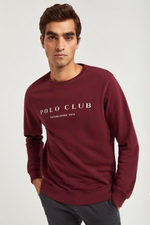 Толстовка Polo Club