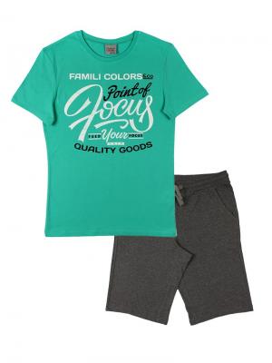 Комплект мужской (футболка, шорты) Family Colors. Цвет: зеленый