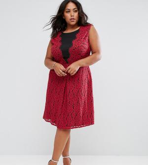 Приталенное кружевное платье Praslin. Цвет: красный
