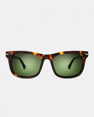 Прямоугольные солнцезащитные очки из ацетата гаваны с поляризованными линзами , коричневый Polar