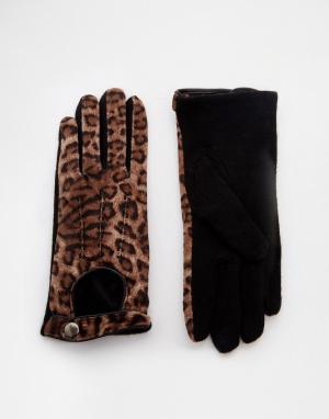 Перчатки с леопардовым принтом Pia Rossini. Цвет: коричневый