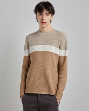 Мужской свитер с круглым вырезом в трехцветную полоску и принтом , кэмел Easy Wear