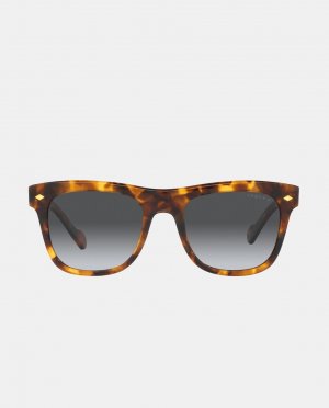 Мужские квадратные солнцезащитные очки из ацетата цвета гавана с поляризованными линзами, коричневый Vogue