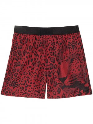 Плавки-шорты с леопардовым принтом Dolce & Gabbana Kids. Цвет: красный