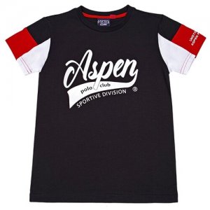 Футболка для мальчика Aspen Polo Club цвет черный 14 лет