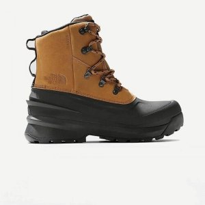 Ботинки Chilkat V Lace WP M, размер US 10, коричневый The North Face. Цвет: коричневый
