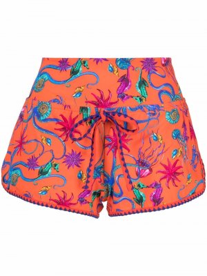 Sealife-print drawstring-waist shorts TWINSET. Цвет: оранжевый