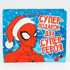 Пакет ламинат горизонтальный MARVEL. Цвет: голубой, красный