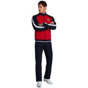 Костюм , олимпийка и брюки, силуэт прямой, карманы, подкладка, утепленный, размер 56, красный Addic. Цвет: красный