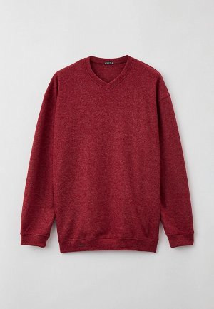 Пуловер Galion. Цвет: бордовый