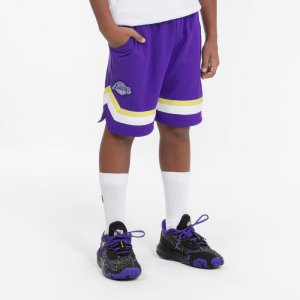 Детские баскетбольные шорты NBA Los Angeles Lakers - SH 900 фиолетовые TARMAK, цвет blau Tarmak