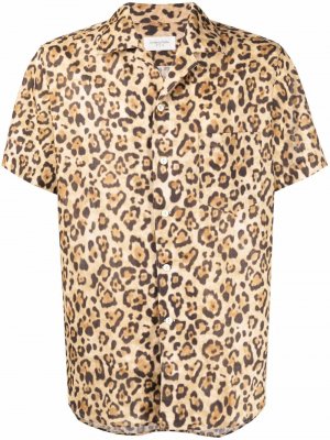 Leopard-print shirt Tintoria Mattei. Цвет: бежевый