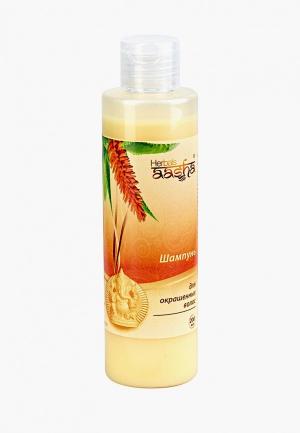 Шампунь Aasha Herbals для окрашенных волос, 200 мл. Цвет: прозрачный
