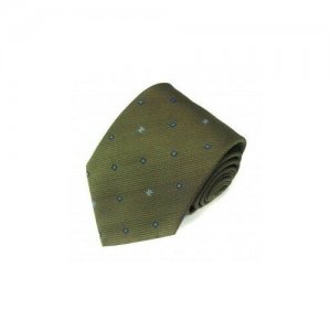 Зеленый галстук в синий квадратик Celine 820224. Цвет: зеленый