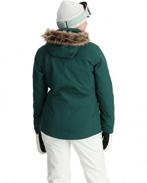 Куртка Skyline Jacket, цвет Cypress Green Spyder