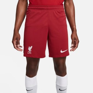 Мужские домашние футбольные шорты Liverpool FC Dri-FIT Stadium, красный Nike