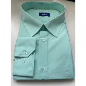 Рубашка , размер 48/182-188, зеленый Elita. Цвет: зеленый/мятный