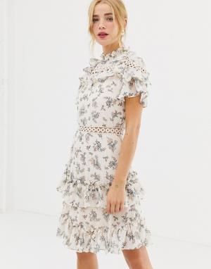 Короткое приталенное платье с цветочным принтом Glamorous. Цвет: розовый
