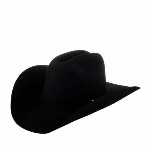 Шляпа, черный Bailey. Цвет: черный