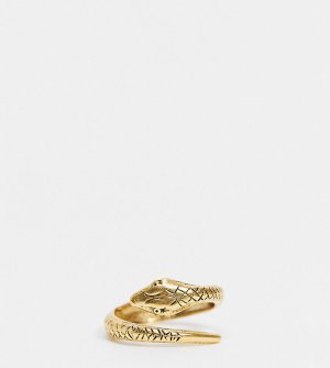 Позолоченное кольцо в несколько оборотов форме змеи Lucifer-Золотистый Regal Rose