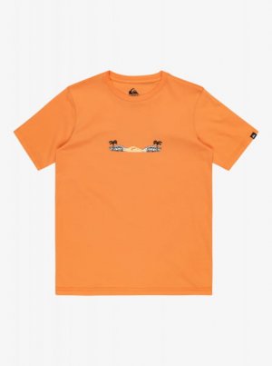 Детская футболка Surf Core (8-16 лет) QUIKSILVER. Цвет: оранжевый