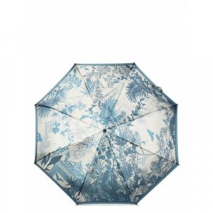Смарт-зонт , голубой ELEGANZZA. Цвет: голубой