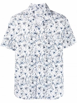 Floral-print cotton shirt Tintoria Mattei. Цвет: белый