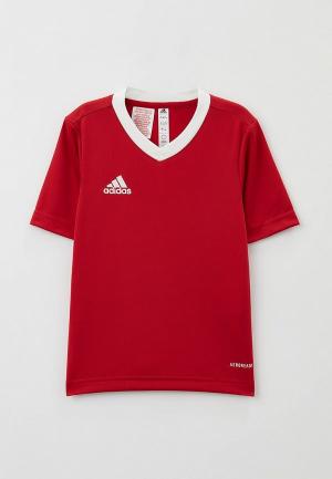 Футболка спортивная adidas ENT22 JSY Y. Цвет: красный