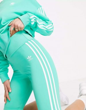 Зеленые короткие леггинсы с тремя полосками adicolor Adidas Originals