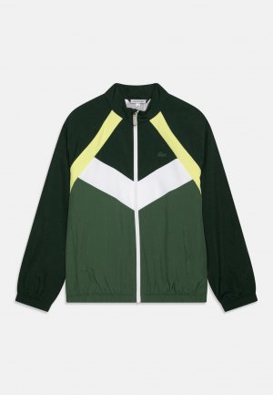Куртка тренировочная , цвет sinople/limeira/white/sequoia Lacoste